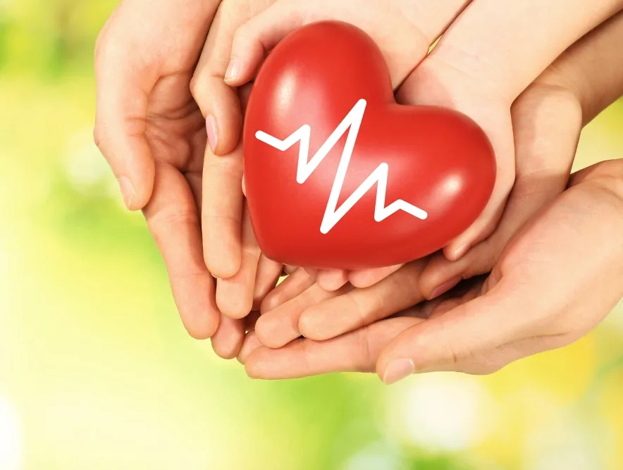 Hands holding a heart with a heartbeat line representing heart health checks at My Doctors Clinic Surfers Paradise