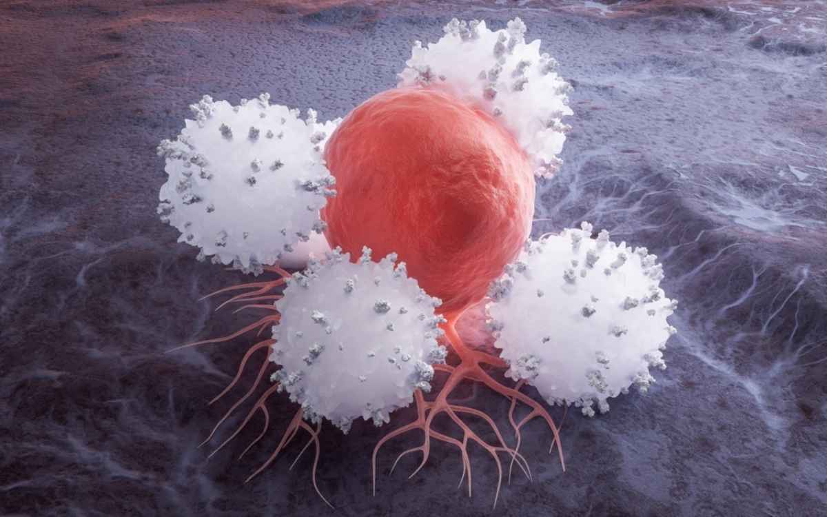 Cancer, Breast Cancer Screening On the Gold Coast Surfers Paradise